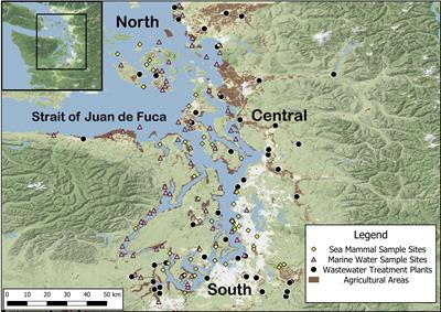 Diversity of Escherichia coli found in the Salish Sea